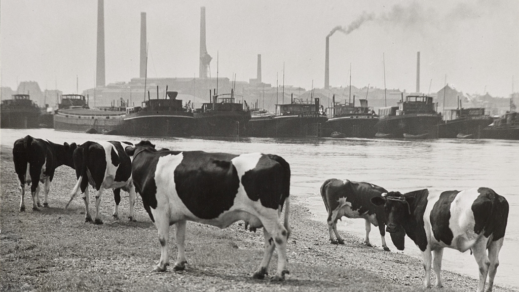 Sachlich Neu: Fotografien von August Sander, Albert Renger-Patzsch & Robert Häusser