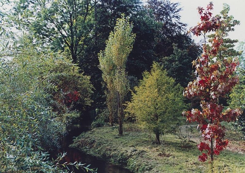 My favs from the Internet Archive (03): Stephen Shore: The Gardens at Giverny