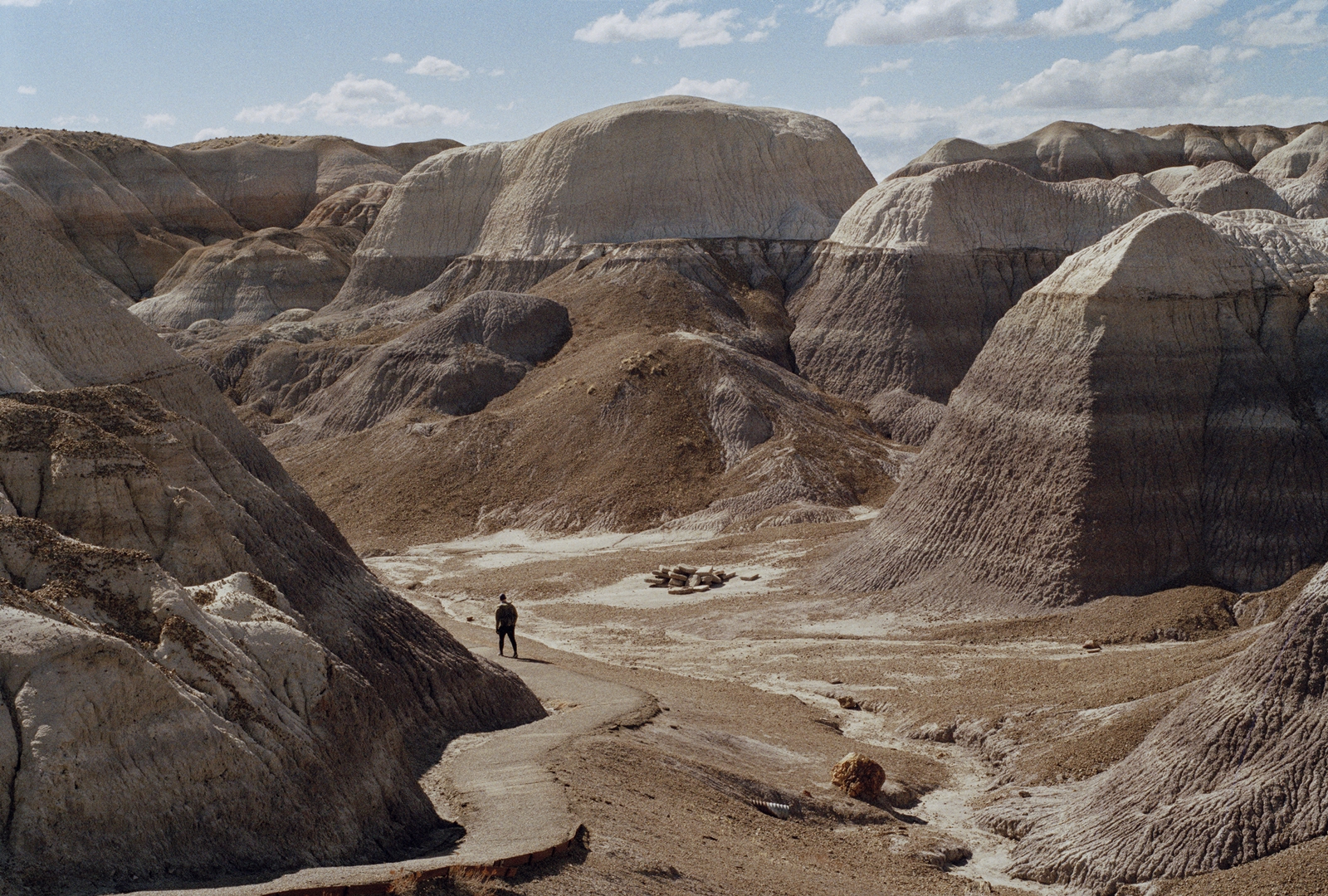 Albert Elm: This Much is True