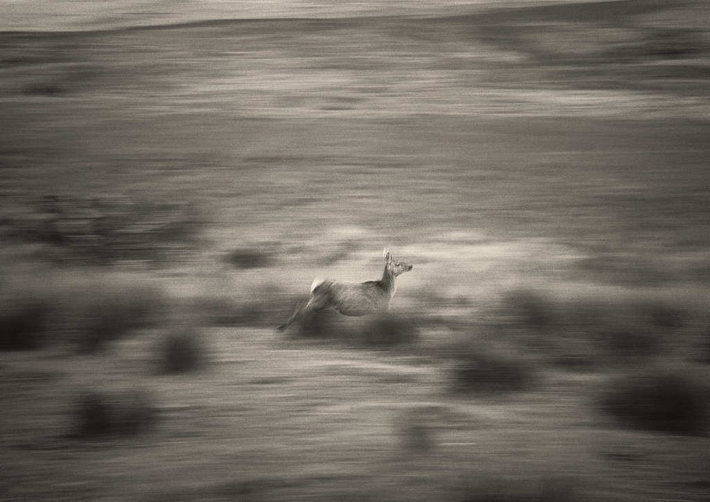 Craig Easton: An Extremely Un-Get-Atable Place